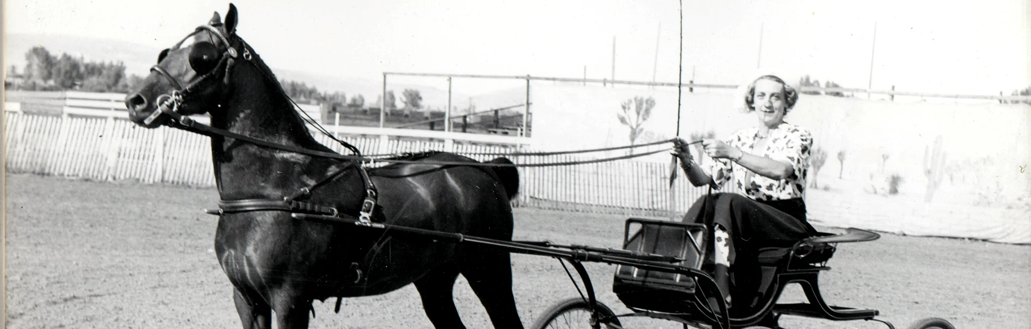 Battle Mountain, Nevada landscape