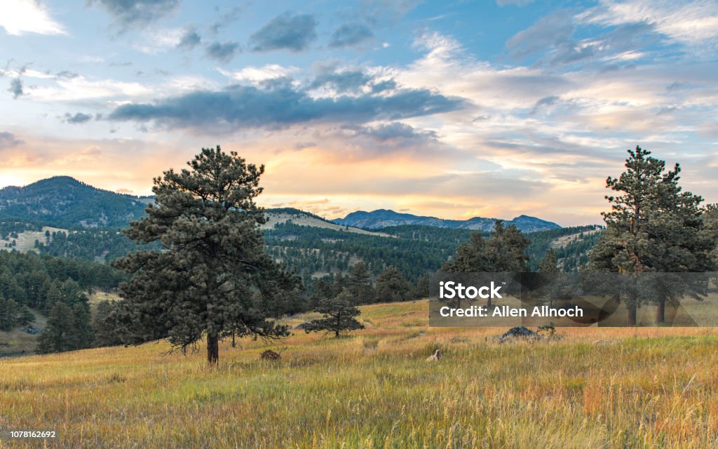 Battle Mountain, Nevada landscape